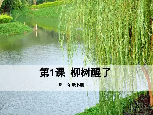 1.柳树醒了2PPT课件