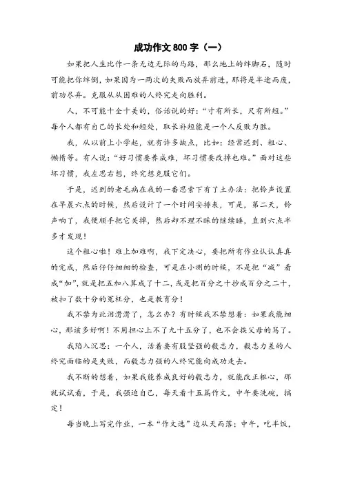 初中作文成功作文800字