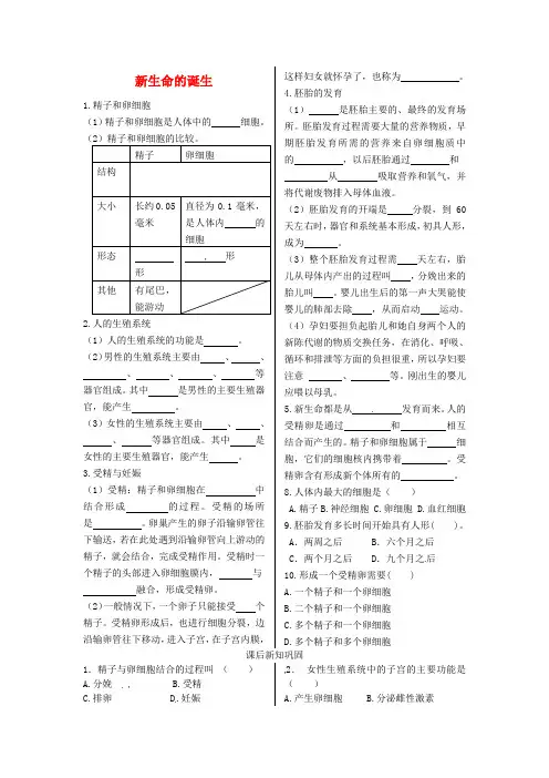 《新生命的诞生》练习