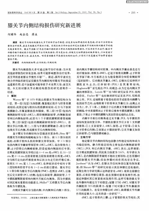 膝关节内侧结构损伤研究新进展