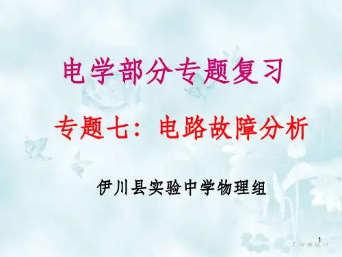 电路故障分析专题