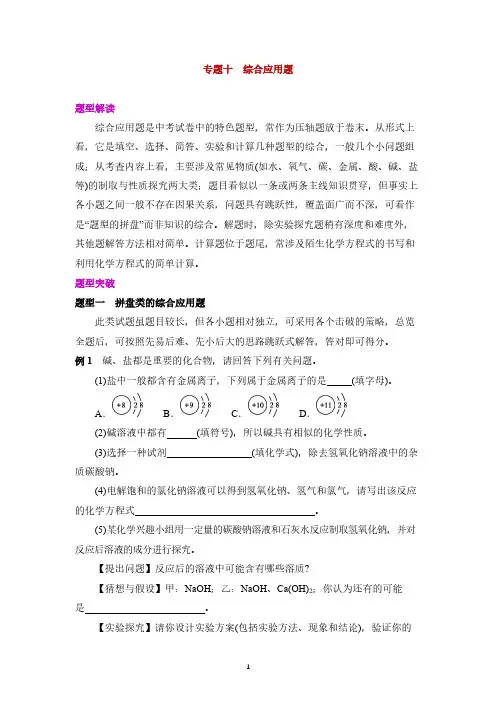 人教版初中化学中考专题突破(十) 综合应用题