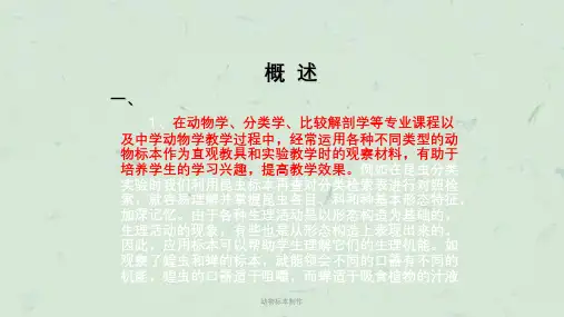 动物标本制作课件