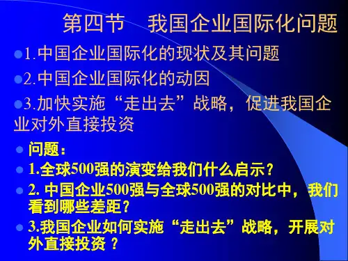 第2章跨国公司理论