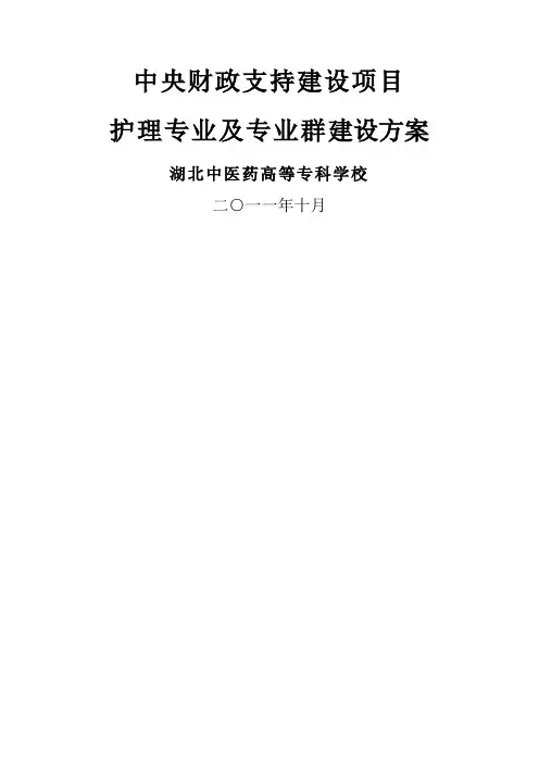 护理专业及专业群建设方案