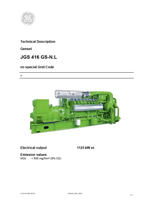 GE颜巴赫燃气发电机组JGS416_6.6KV_60HZ