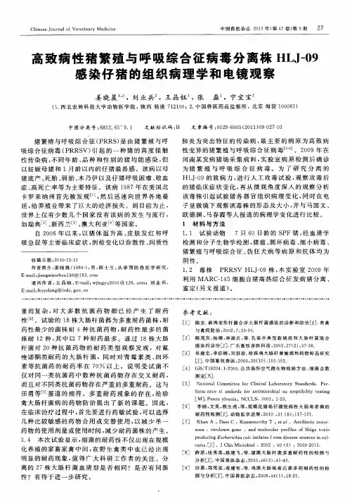 高致病性猪繁殖与呼吸综合征病毒分离株HLJ-09感染仔猪的组织病理学和电镜观察