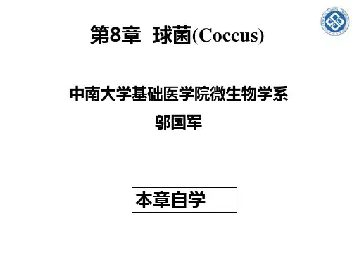 球菌ppt课件