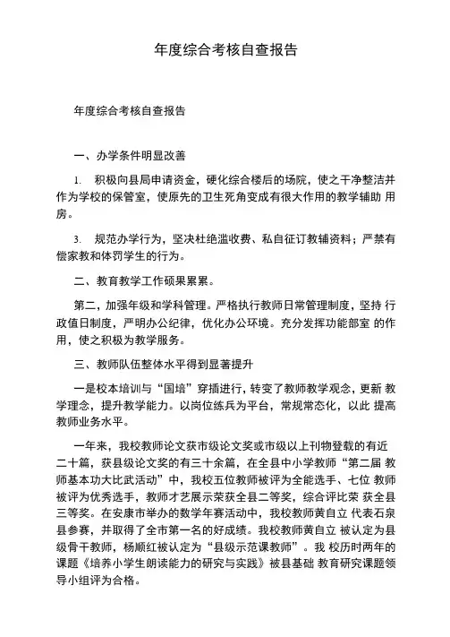 年度综合考核自查报告