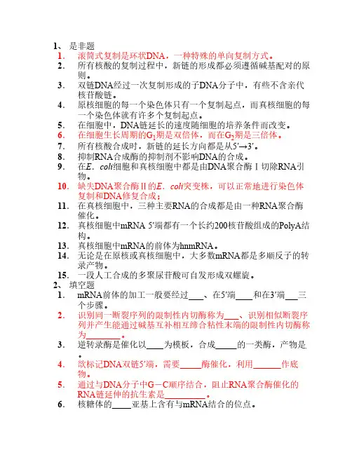 核酸的生物合成习题