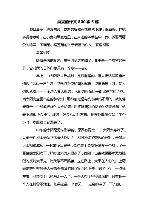 夏景的作文800字5篇