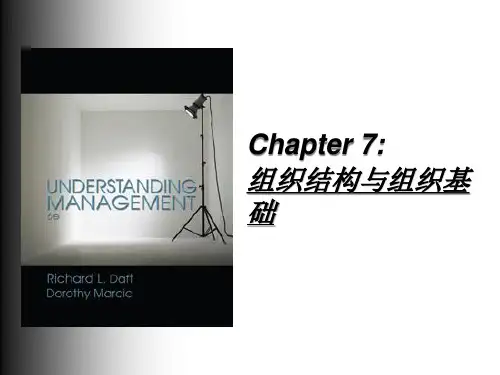 组织结构与组织基础课程