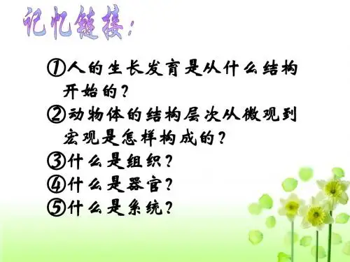 植物体的结构层次