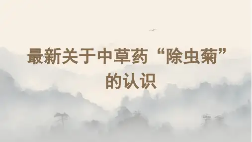 最新关于中草药“除虫菊”的认识