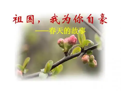 _春天的故事