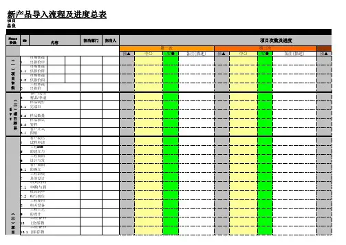 新项目导入进度表