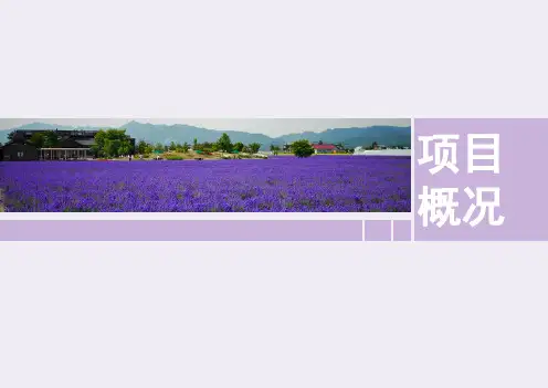 富田农场