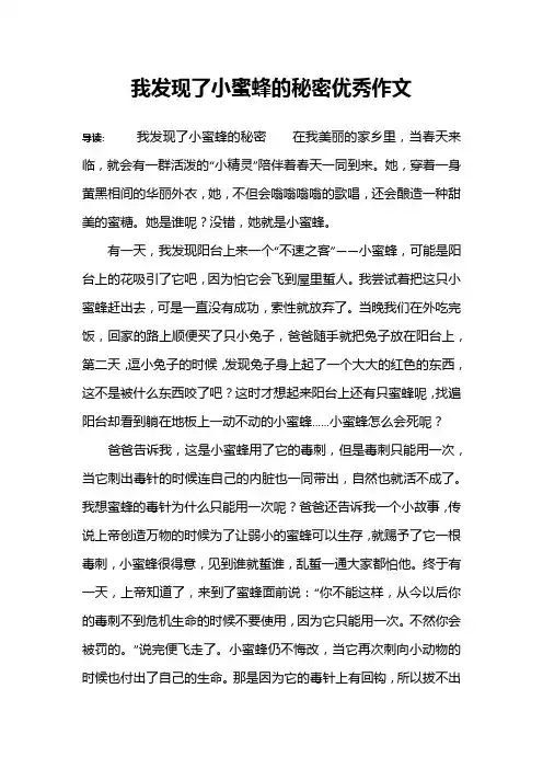 我发现了小蜜蜂的秘密优秀作文