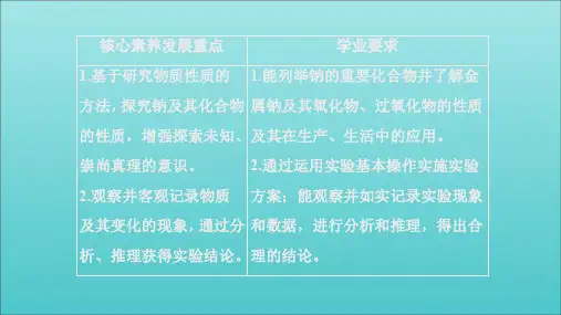 2020新教材高中化学第1章第2节第1课时研究物质性质的基本方法课件鲁科版必修第一册