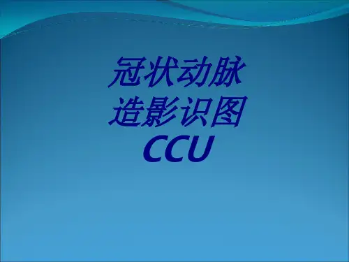 冠状动脉造影识图CCU优质PPT课件