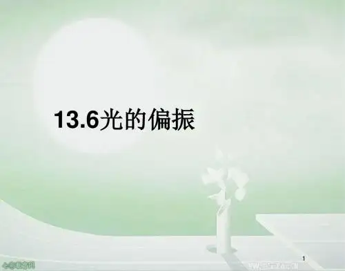 物理选修3-4人教新课标13.6光的偏振课件.