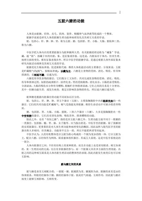 五脏六腑的功能 2