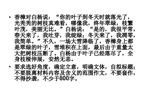 香樟与白杨