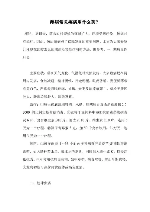 鹅病常见疾病用什么药？.doc