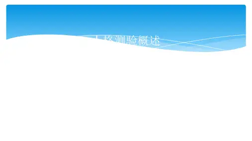 第一 人格测验概述PPT课件