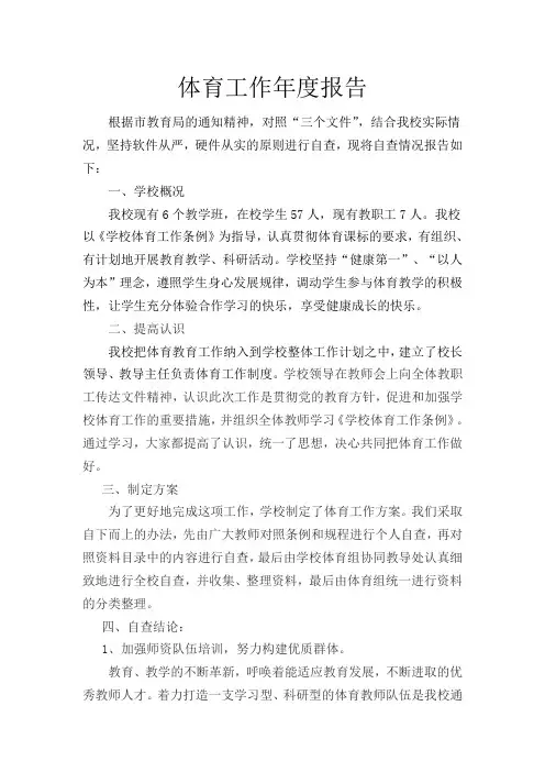 小学体育工作年度报告