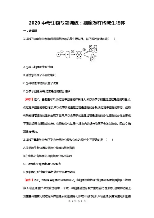 2020中考生物专题训练：细胞怎样构成生物体(带解析)
