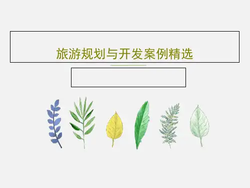 旅游规划与开发案例精选共43页文档