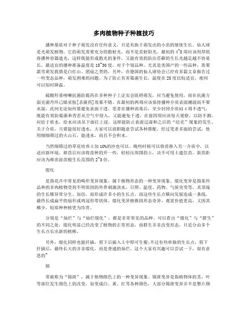 多肉植物种子种植技巧
