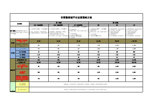 有赞微商城平台运营策略方案