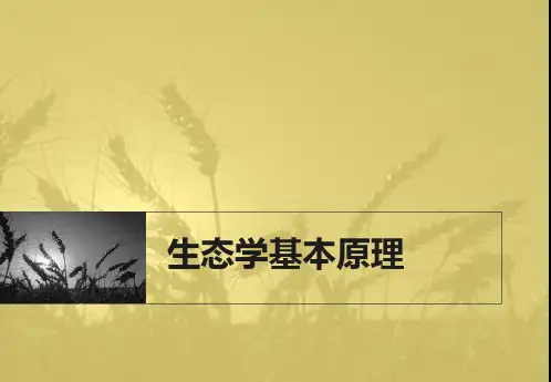 生态学基本原理解析