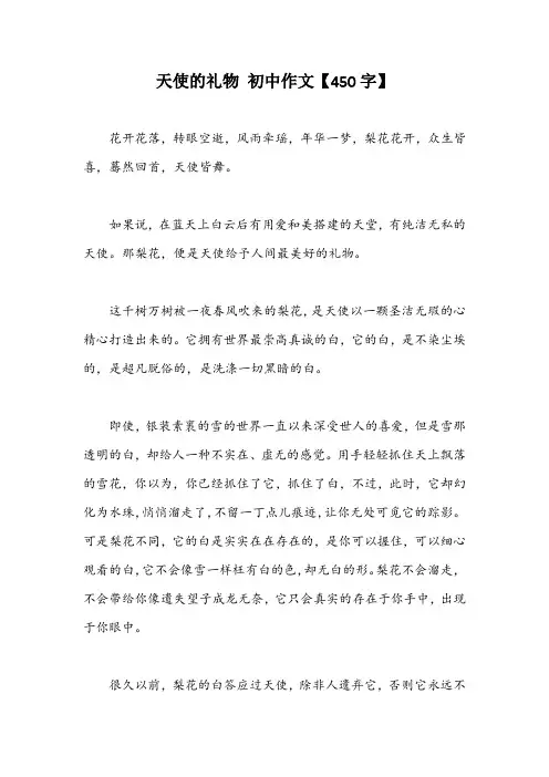 天使的礼物 初中作文【450字】