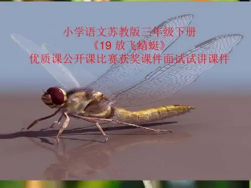 小学语文苏教版三年级下册《19 放飞蜻蜓》优质课公开课比赛获奖课件面试试讲课件
