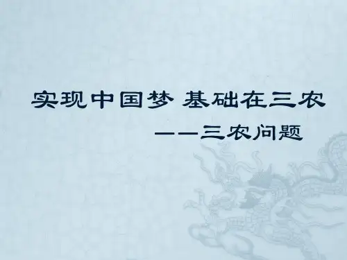 三农问题