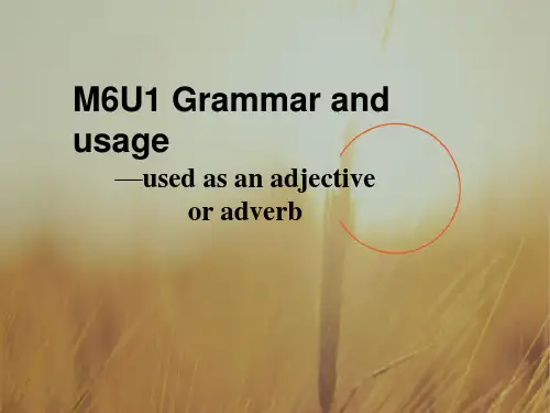 江苏省扬州市田家炳实验中学高中英语选修六：M6U1 grammar 2 课件 精品