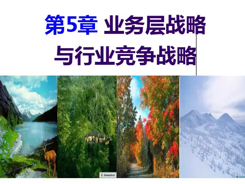 第5章业务层战略与行业竞争战略