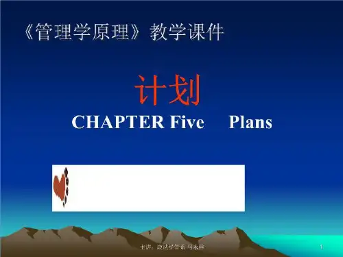 《管理学原理》教学课件：计划