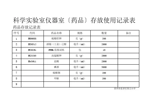药品记录表
