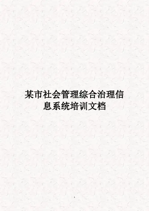某市社会管理信息系统操作手册(完整版)