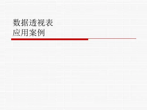 数据透视表应用案例