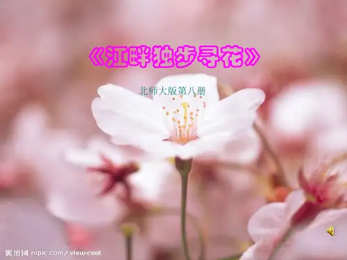 语文S版小学四下《古诗三首_江畔独步寻花》ppt课件
