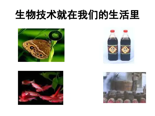 北师大版八年级生物下册第25章第1节发酵技术(共26张PPT)