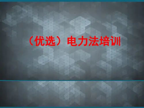 (优选)电力法培训