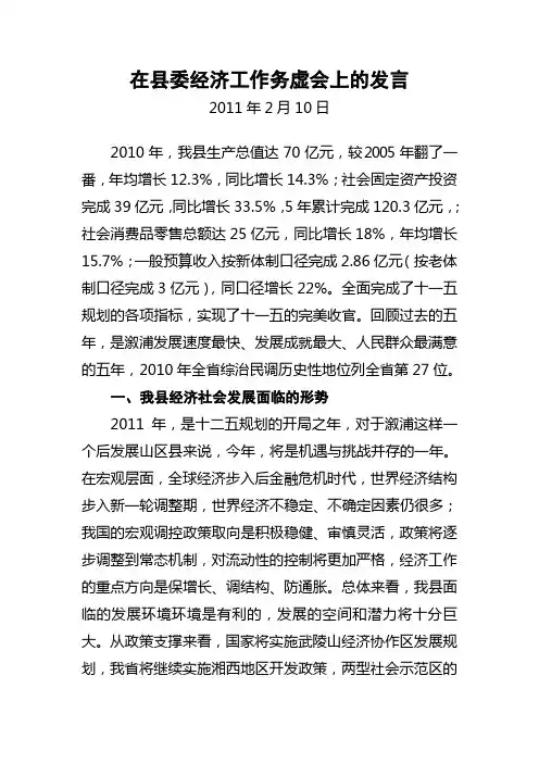 在经济工作务虚会上的发言