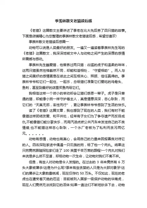 季羡林散文老猫读后感