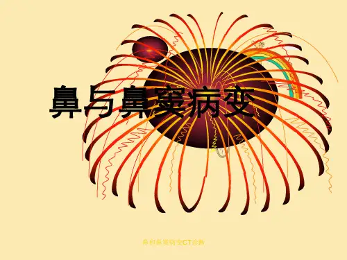 鼻和鼻窦病变CT诊断